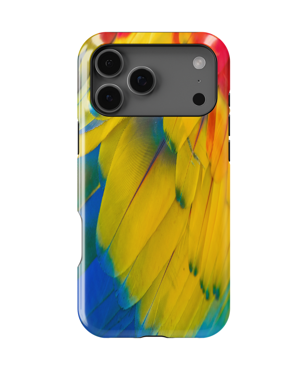 Parrot Feathers Case for Apple iPhone | CaseSwagger