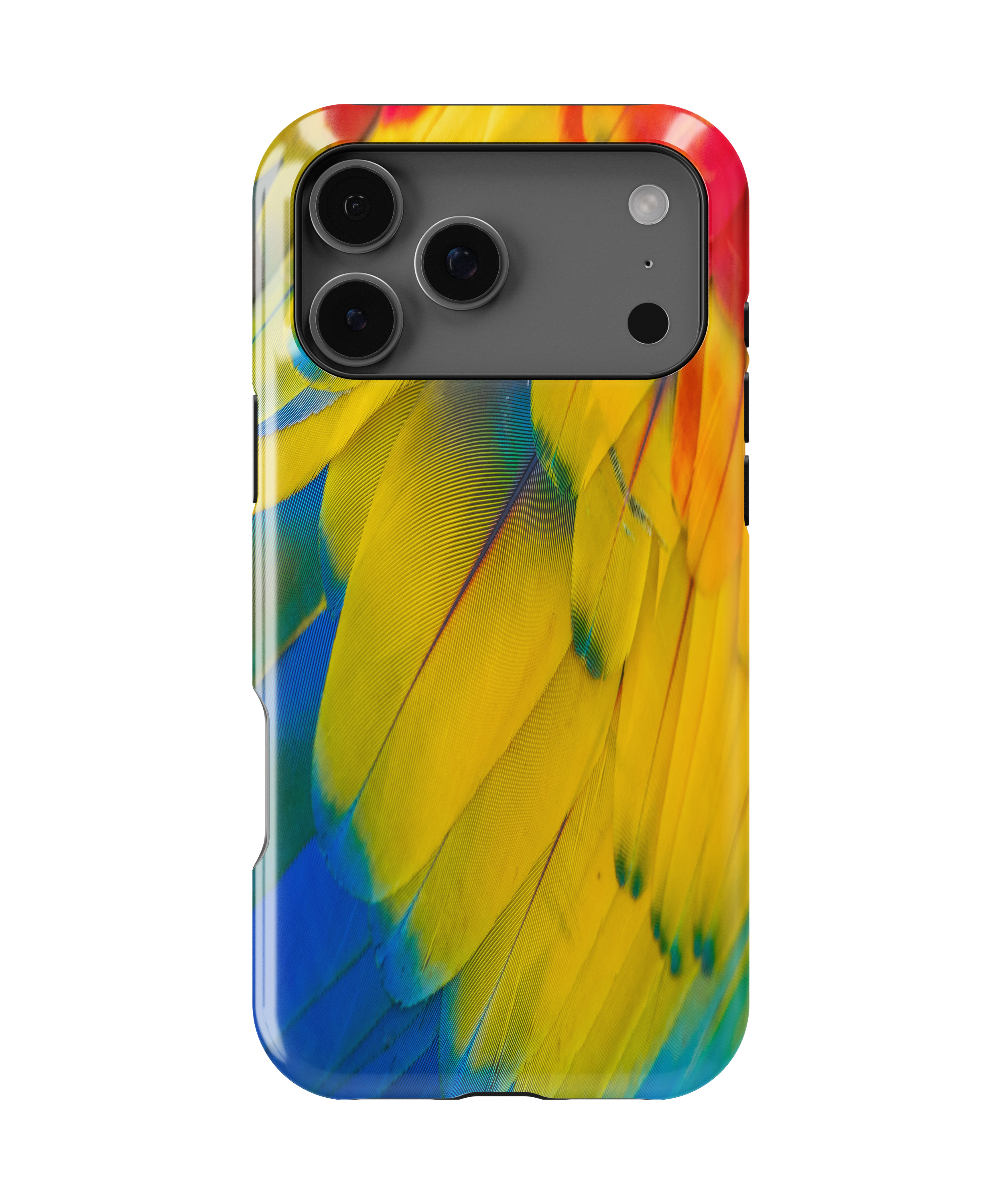 Parrot Feathers - iPhone
