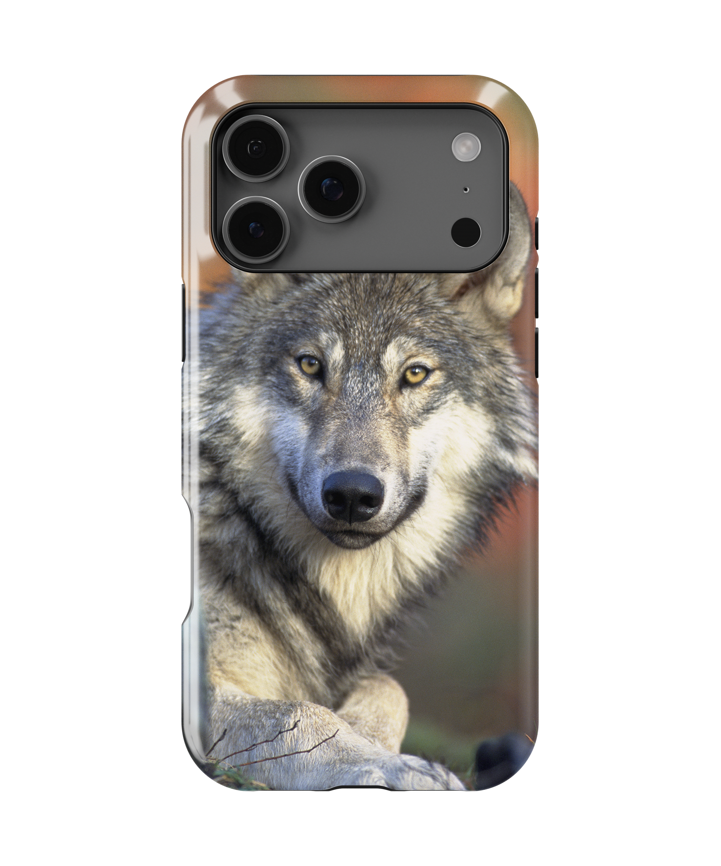 Wolf - iPhone