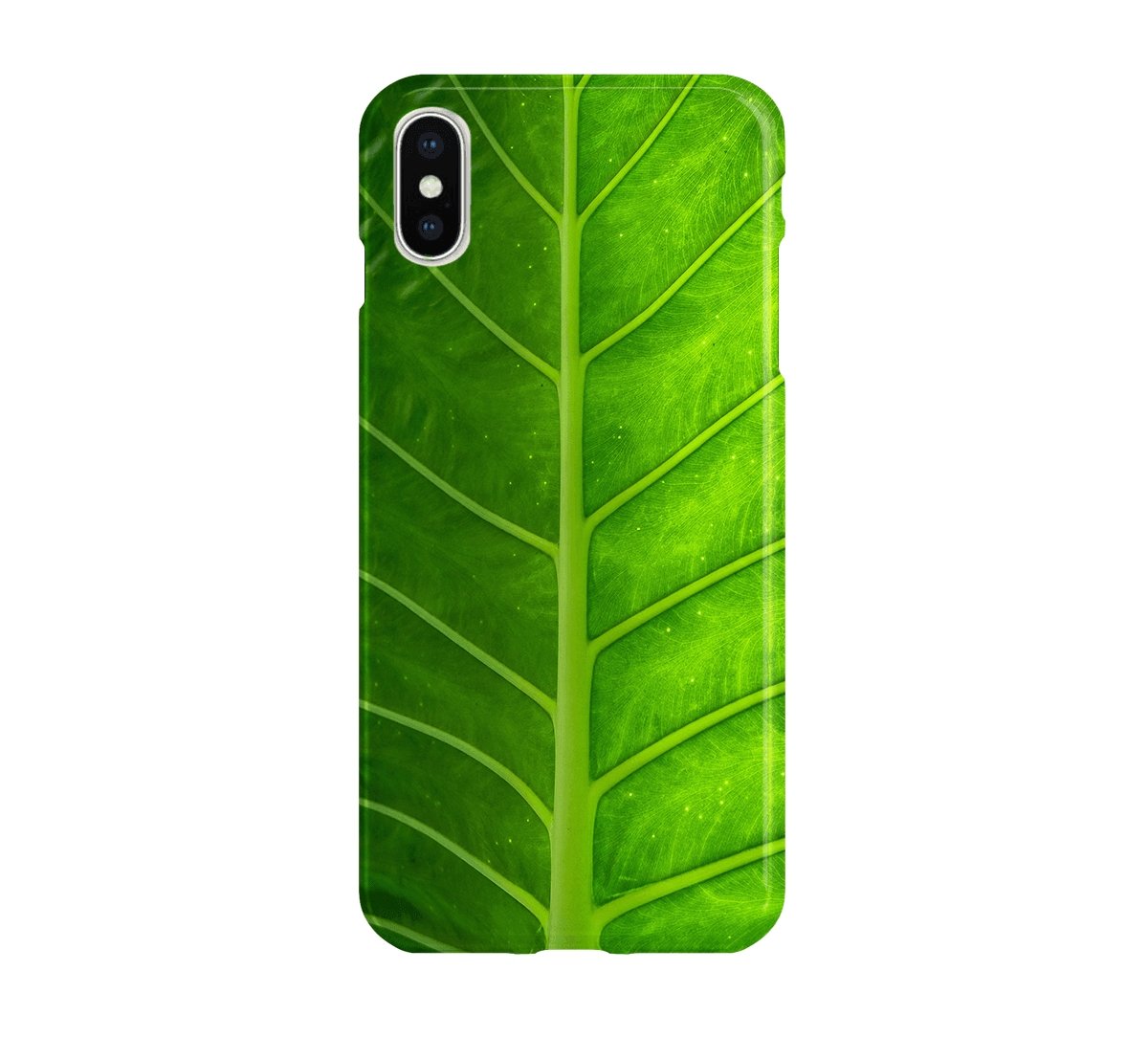 Leaf Spine - iPhone phone case designs by CaseSwagger